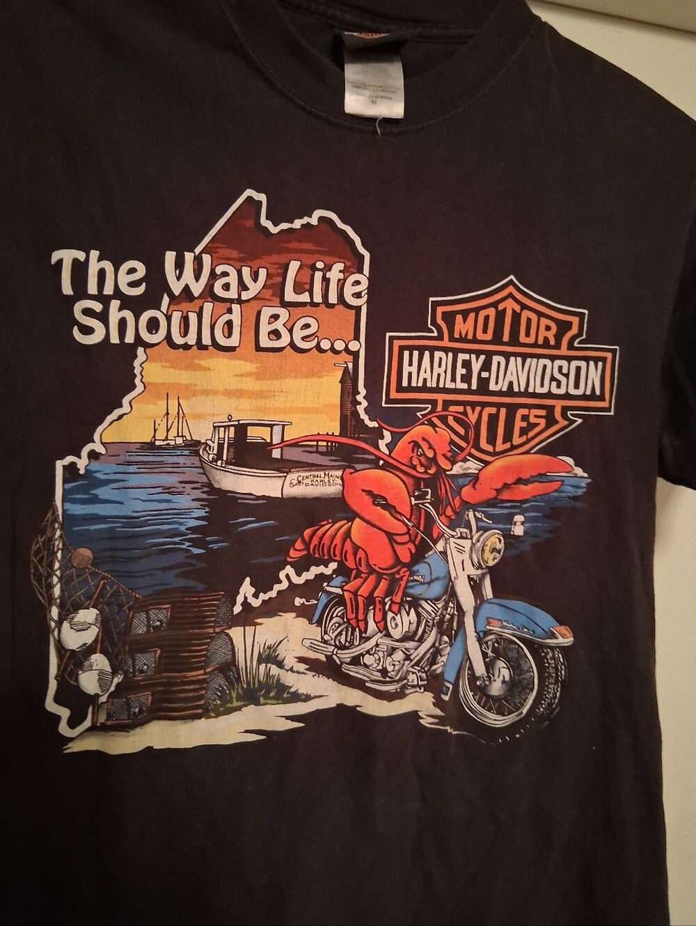 Vintage harley Davidson shirt